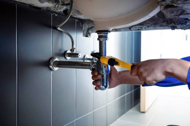 Grand Blanc, MI Plumbing services Company